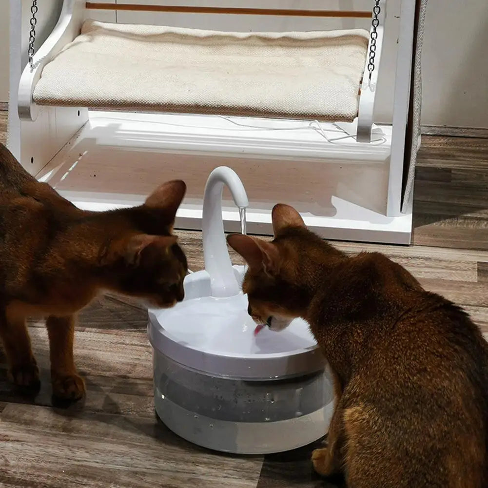 Cat Drinking Fountain