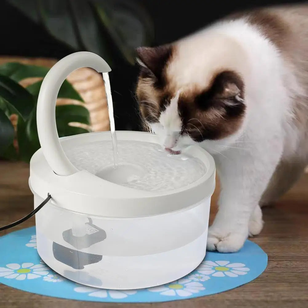 Cat Drinking Fountain