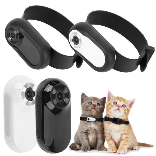 Camera Collar for Cats & Dogs