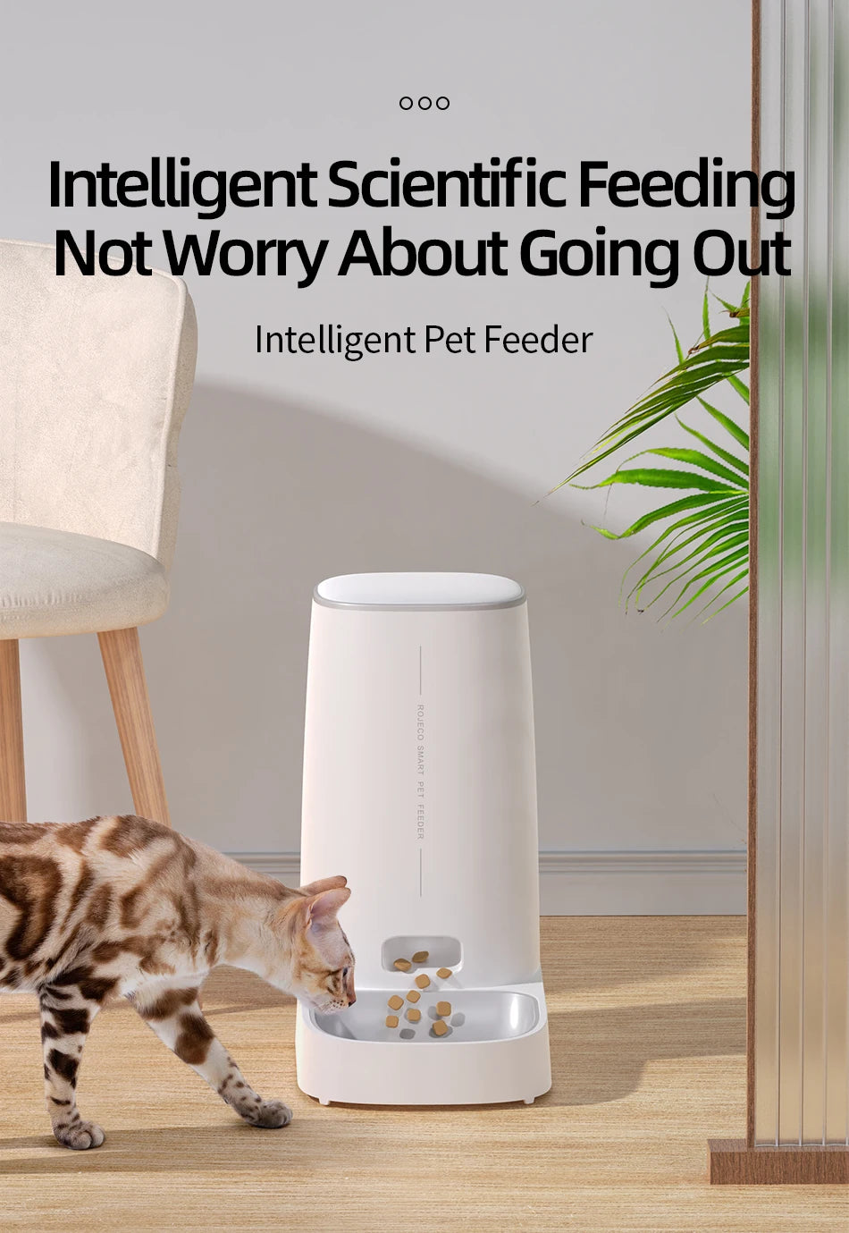 ROJECO Automatic Cat Feeder