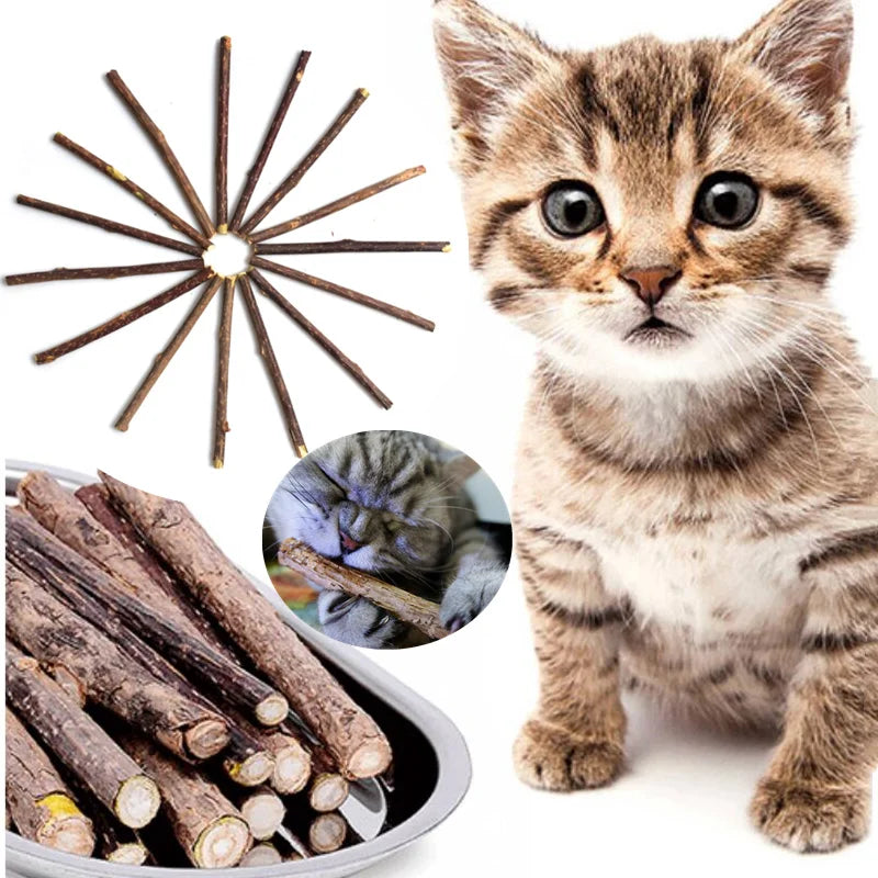 Natural Cat nip Pet Cat Molar Toothpaste Stick