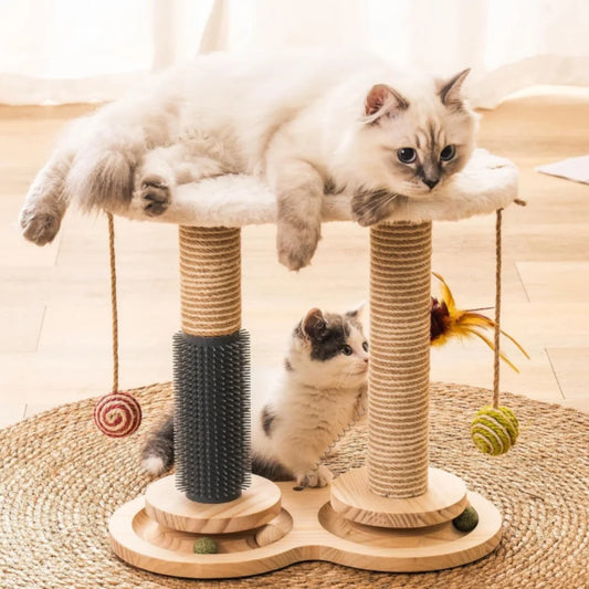 Cat Scratching Post