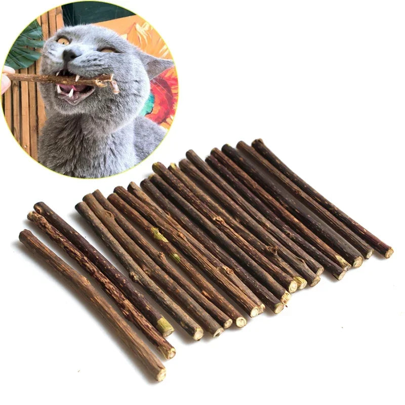 Natural Cat nip Pet Cat Molar Toothpaste Stick